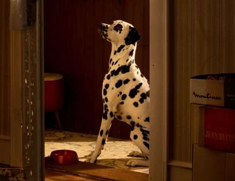 Horst Kistner Als ich ein kleiner Junge war Detail 2