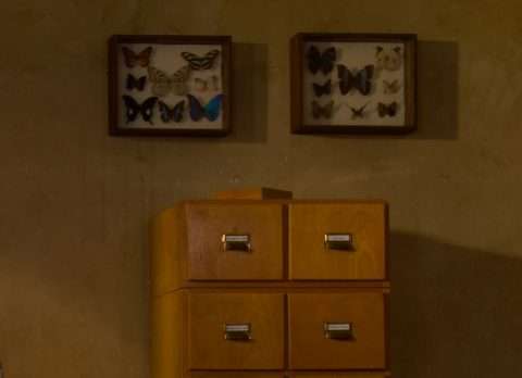 Horst Kistner | broken flower | Detail 3