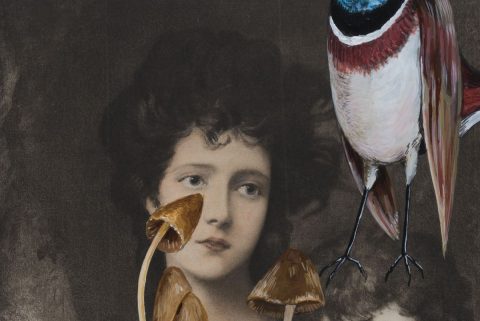 Miss Linley und ihr Bruder Ausschnitt 3