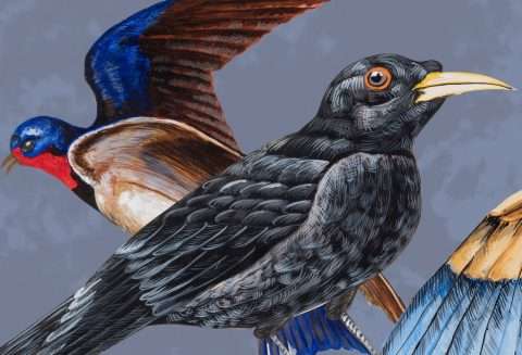 Thomas Gatzemeier Überflieger 2017 Detail 3