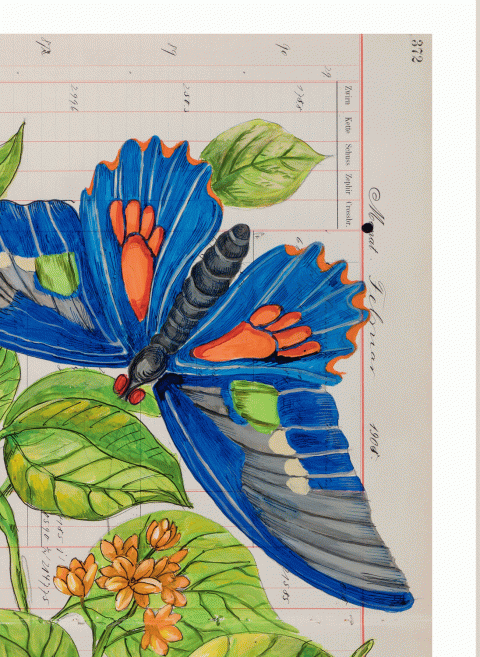 Hier sehen Sie ein Detail der Grafik von Thomas Gatzemeier Pflanzen Falter Ornament. Dieses zeigt seine gekonnte Linienführung und die zarte Kolorierung dieser schönen Naturdarstellung