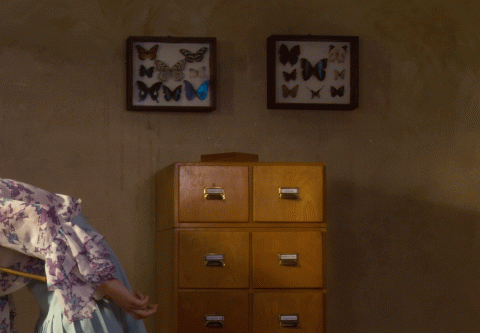 Horst Kistner Unbekannte Gattung Detail 2