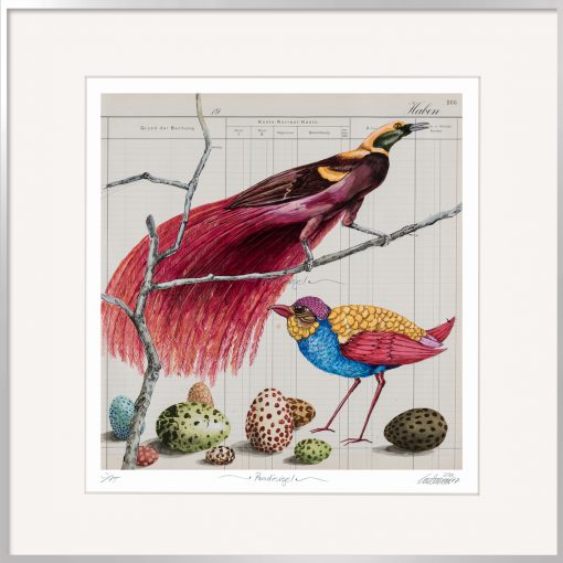 Paradiesvogel eine Grafik von Thomas Gatzemeier farbintensiv und brillant gedruckt