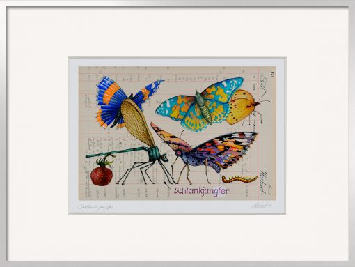 Thomas Gatzemeier Schlankjungfer Bild mit Libelle und Schmetterlingen