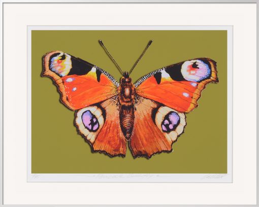Thomas Gatzemeier Peacock-Butterfly ist eine Grafik