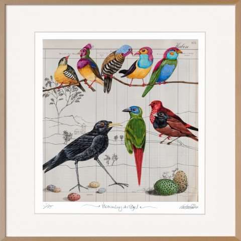 Versammlung der Vögel ist eine farbenfrohe Grafik von Thomas Gatzemeier
