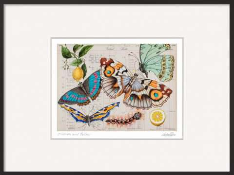 Geschenk für eine Freundin – Kunstwerk mit Zitronen und Schmetterlingen von Thomas Gatzemeier ein kleines Juwel.