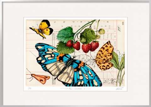 Gatzemeier Mai-Erdbeere limitiert Alu Rahmen