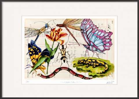 Gatzemeier Garten Eden limitiert Alu Rahmen schwarz