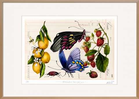 Gatzemeier Irrtümliche Fruchtfolge limitiert Holz Rahmen