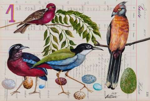 Osterpostkarte mit bunten Eiern und lustigen Vögeln