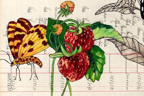 Gatzemeier Three Grand Berries Detail