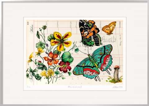 Thomas Gatzemeier Herbstpilzzeit ist eine Grafik mit Schmetterlingen, Blumen und einem Pilz