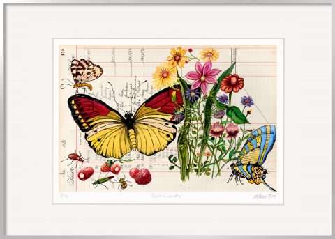 Thomas Gatzemeier Blütenwunder ein Naturstillleben mit Schmetterlingen und Blumen
