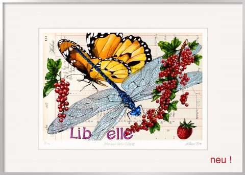 Thomas Gatzemeier Jonannisbeerlibelle ist eine Grafik mit Insekten, Schmetterling, Libelle und roten Beeren
