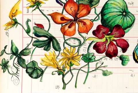 Herbstpilzzeit Detail 4