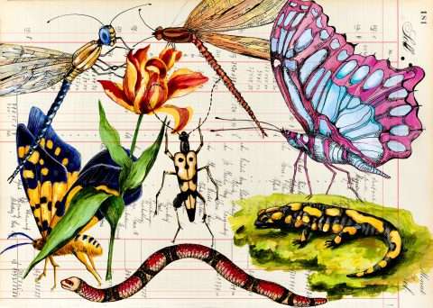 Garten Eden ist eine Natur Postkarte mit Tieren und Schmetterlingen