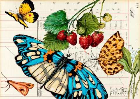 Sommer Postkarte mit blauem Schmetterling und Erdbeeren