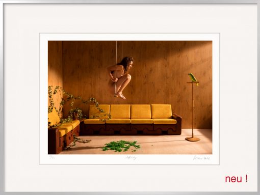 Horst Kistner Affinity ist eine Fotografie aus der Trilogie Verzauberung. Eine nackte Frau sitzt auf einer Schaukel, die von der Wohnzimmerdecke hängt und fixiert ihren Papagei der ihr gegenüber auf einer Stange sitzt.