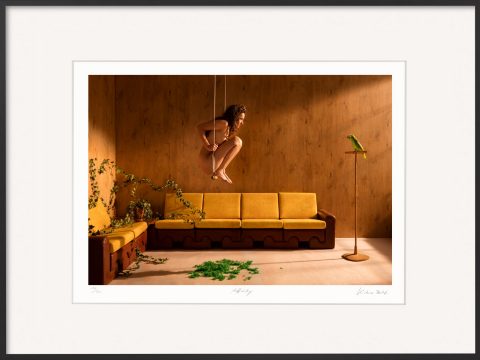 Horst Kistner schaffte es uns mit der Fotografie Affinity in eine Traumwelt zu entführen. Die Verzauberung ist eine Trilogie des Künstlers und behandelt die Sehnsucht des Menschen sich in einen Vogel zu verwandeln.