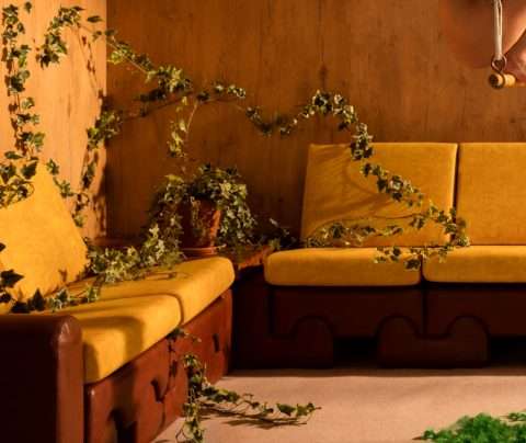 Das Detail der Fotografie von Horst Kistner mit dem Titel Affinity zeigt eine mit Efeu überwachsene Sitzgruppe