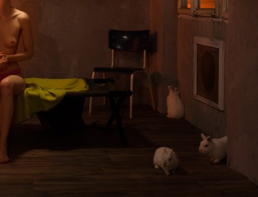 Horst Kistner After Sunset Detail-3 zeigt eine Ausschnitt der Fotografie mit weißen Hasen. Den Symbolen der Fruchtbarkeit.