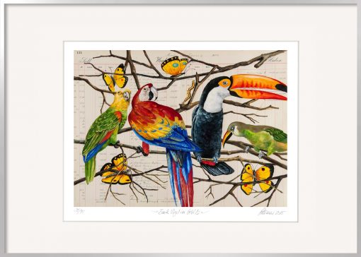 Eine sehr schöne Tiergrafik ist das Blatt von Thomas Gatzemeier Bunte Vögel im Gehölz mit einem 50 x 70 cm grossen Nielsen Alu-Rahmen zum super Preis.
