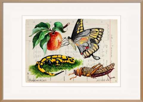 Das Palimpsest von Gatzemeier Der Apfel und der Lurch aus dem Jahr 2023 ist eine Arbeit aus dem Zyklus Sammelsurium. Eine Malerei auf Kontopapier von 2007 zeigt einen Lurch, eine Heuschrecke einen Schmetterling sowie einen Apfel.