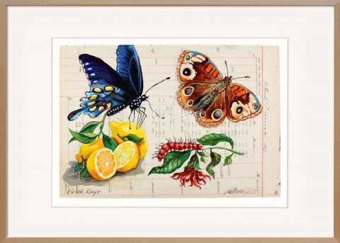 Thomas Gatzemeier Die rote Raupe ist eine Arbeit aus dem Zyklus Sammelsurium, der seit vielen Jahren stetig wächst. Mit feinsten Farben malt der Künstler Naturstillleben auf antikes Kontopapier.