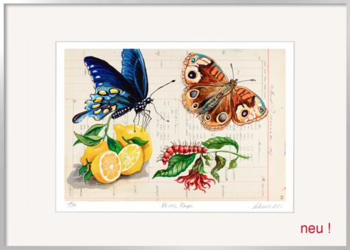 Die Grafik von Thomas Gatzemeier Rote Raupe zeigt zwei Schmetterlinge, Zitronen und die titelgebende rote Raupe. Fein gemalt auf Kontopapier.