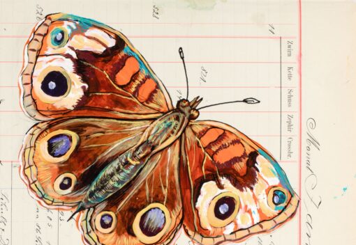 Ein weiteres Detail der Grafik von Thomas Gatzemeier Rote Raupe zeigt die Flügel eines Schmetterlings fein gemalt.