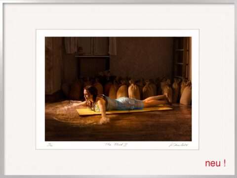 Horst Kistner The Flood 2 Fotografie ist die Fotografie einer zeitgenössischen Nympfe die in einem überschwemmten Zimmer mit dem Wasser kämpft.