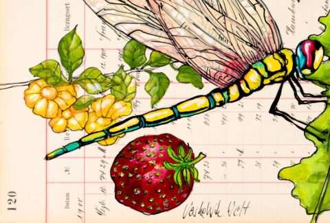 Die exzellente Naturgrafik von Thomas Gatzemeier Verkehrte Welt zeigt im Detail 4 eine von ihm gemalte Erdbeere in Nahaufnahme.