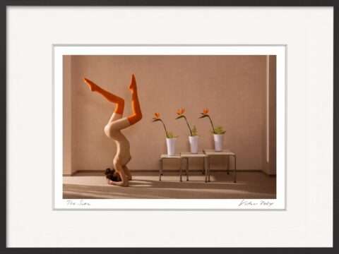 Sinnliche Kunstfotografie fürs Schlafzimmer: nackte Frau im Kopfstand mit orangefarbenen Strümpfen und Strelitzien – ‚The Swan‘ von Horst Kistner.“