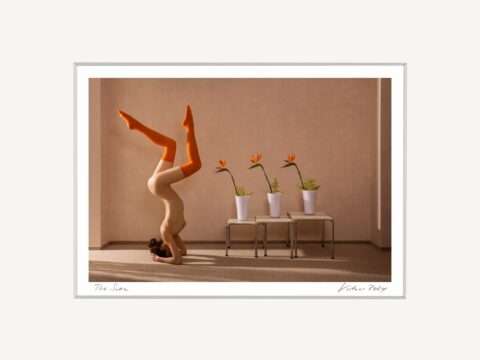 Auktion | Horst Kistner – The Swan Fotografie
