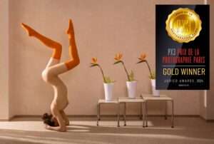 Die außergewöhnliche Fotografie von Horst Kistner The Swan Gold hat 2024 in Paris bei einem Fotowettbewerb Gold gewonnen.