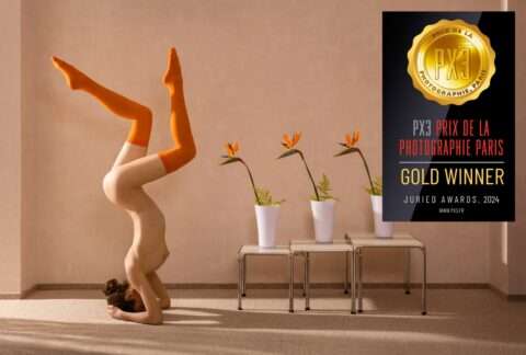 Die außergewöhnliche Fotografie mit Blumen und Natur von Horst Kistner The Swan Gold hat 2024 in Paris bei einem Fotowettbewerb Gold gewonnen.