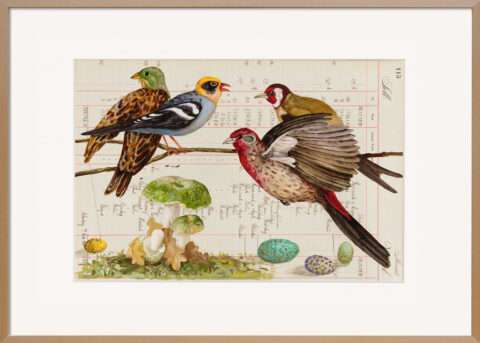 Das Original von Thomas Gatzemeier Osterpilz ist eine faszinierende Arbeit aus seinem Zyklus Animal Stilllife. In naturalistischer Manier sind vier bunte Vögel abgebildet, die miteinander zu kommunizieren.