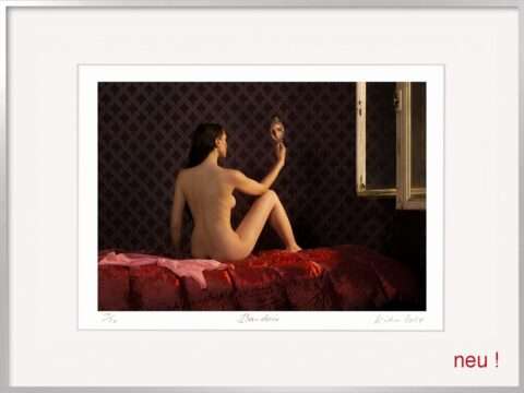 Auf der Fotografie von Horst Kistner mit dem Titel Boudoir ist ein Rückenakt zu sehen. Die Frau schaut durch den Spiegel auf den Betrachter und beobachtet ihn genau.