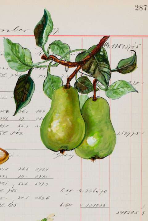 Birne auf einem Werk von Thomas Gatzemeier