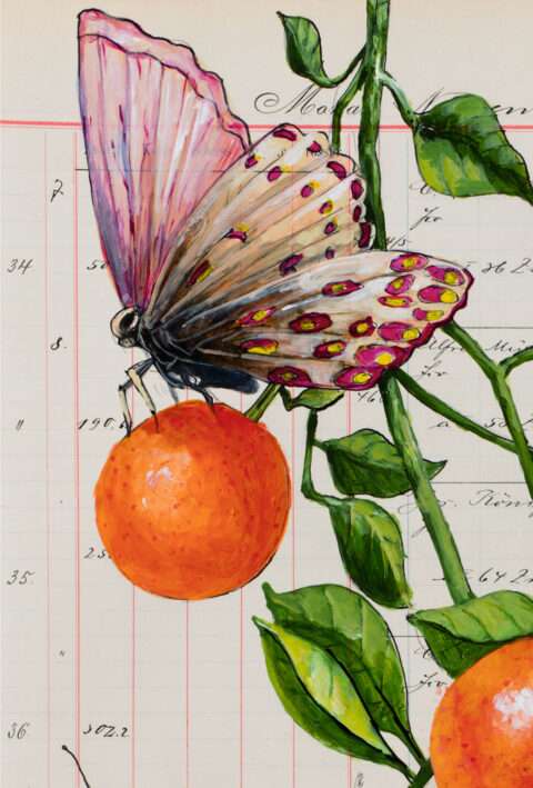 Die Detailaufnahme der Arbeit von Thomas Gatzemeier mit dem Titel Falter und Früchte zeigt die realistisch gemalten Orangen und einen Violetten Schmetterling.