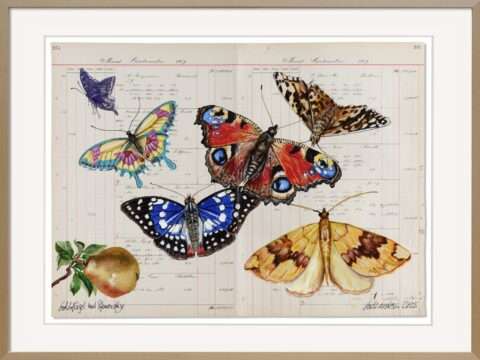 Das Original auf Kontopapier von Thomas Gatzemeier Goldflügel und Pfauenauge zeigt bunte Schmetterlinge und eine Birne. In höchster Qualität naturalistisch gemalt spricht dieses Kunstwerk alle Sinne an.