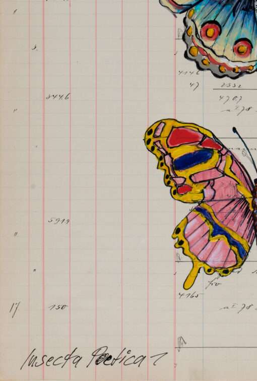 Thomas Gatzemeier Insecta Poetica 1 ist eine Arebei aus dem Zyklus von Schmetterlingsdarstellungen und zeigt den handschriftlichen Titel dieses Kunstwerkes.