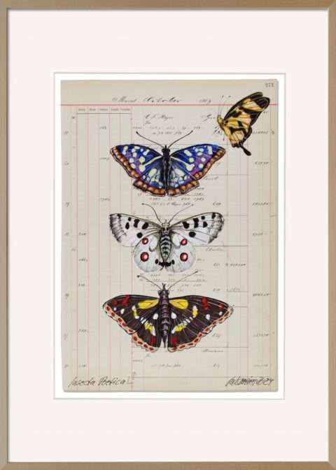 Thomas Gatzemeier Insecta Poetica 2 stammt aus einer Serie, die der Künstler Insecta Poetica nennt – eine Unterreihe des größeren Zyklus Sammelsurium, in dem Gatzemeier seine Naturdarstellungen sammelt, ordnet und poetisch interpretiert. Auch auf diesem Kunstwerk sind Schmetterlinge zu sehen die realistisch und detailgetreu gemalt wurden.