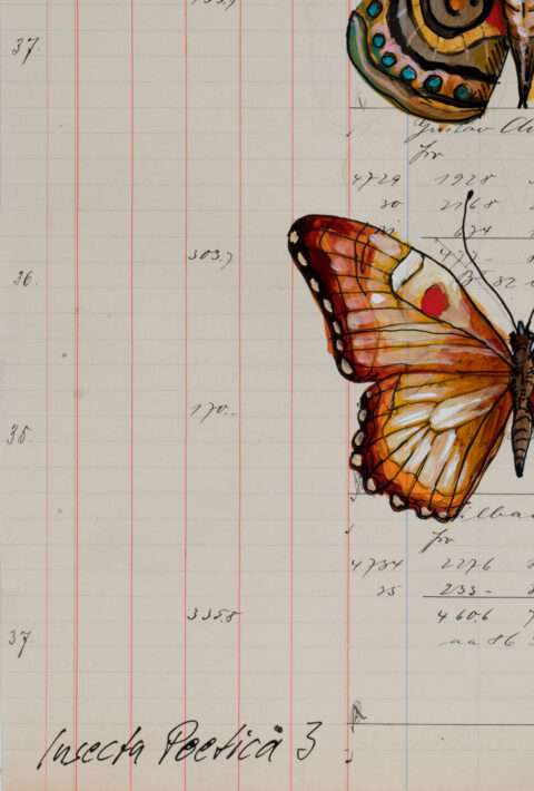 Diese Detailaufnahme der Arbeit von Thomas Gatzemeier Insecta Poetica zeigt den von ihm auf dem Papier aufgebrachten Titel. Auch sieht man genau wie das Kontopapier beschaffen ist und wie detailgetreu der Künstler die Schmetterlinge gemalt hat.