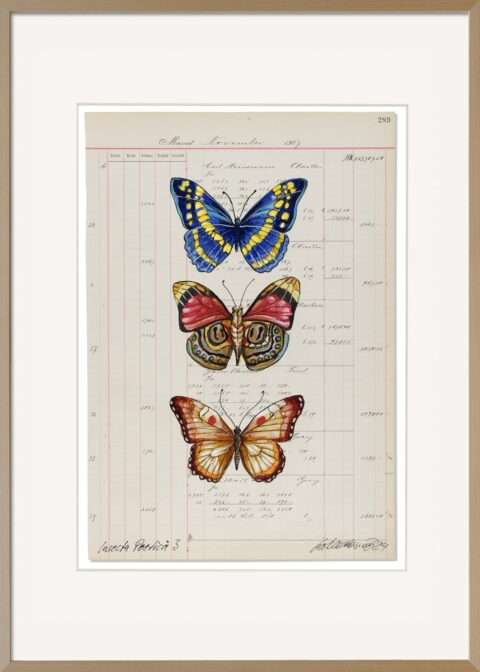Da Arbeite von Thomas Gatzemeier Insecta Poetica 3 ist mit einem Holzrahmen und Museumsglas nicht nur ein Kunst- sondern auch ein Wertstück der besonderen Art. Auf dem Blatt sind in naturalistischer Arbt drei Schmetterlinge auf altem Kontopapier gemalt.