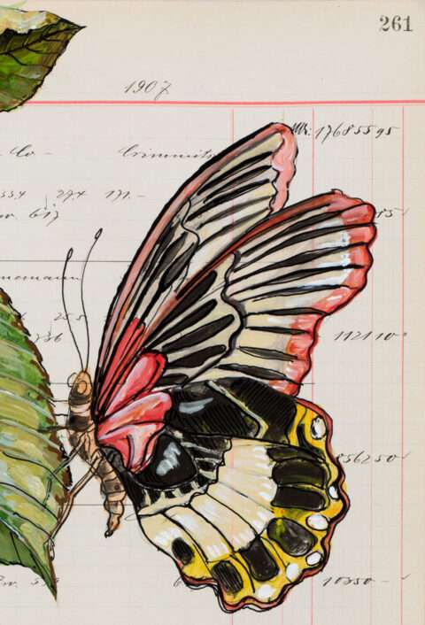 Das Detail von der Arbeit von Thomas Gatzemeier Pilzkirsche zeigt einen Schmetterling, der auf einem Blatt sitzt.