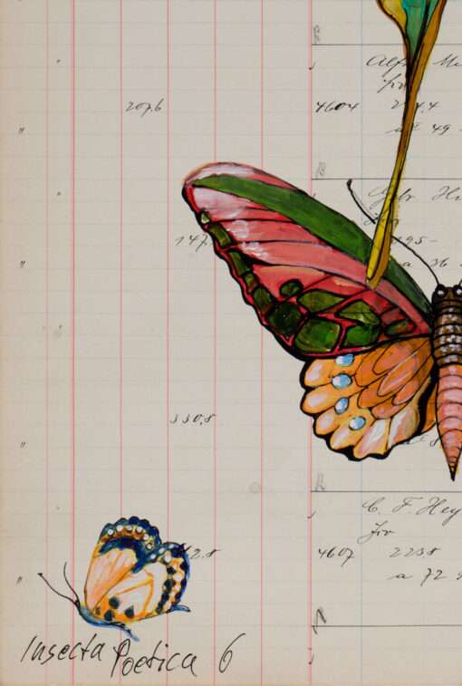 Thomas Gatzemeier Insecta Poetica 6 ist eine Arbeit aus dem Zyklus Sammelsurium. Hier die Aufnahme eines Details mit dem Titel des Blattes.