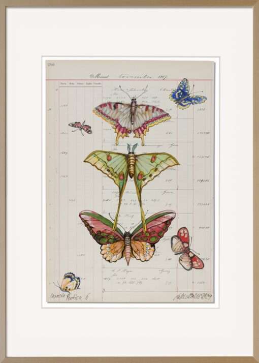 Das Unikatkunstwerk von Thomas Gatzemeier Insecta Poetica 6 Schmetterlingsträume ist wie in seinem Zyklus üblich auf antikem Kontopapier gemalt. Die Zartheit der Ausführung ist außergewöhnlich. Selten haben Künstler in der Gegenwart die Natur so detailreich dargestellt.
