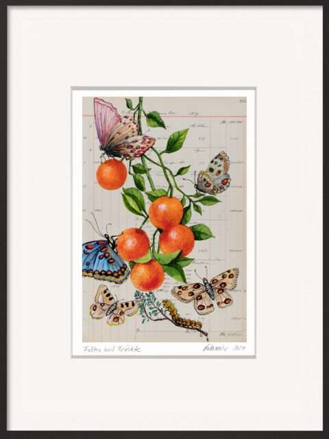 Die Grafik von Thomas Gatzemeier Falter und Früchte ist eine schöne Geschenkidee für alle, die Natur mögen.